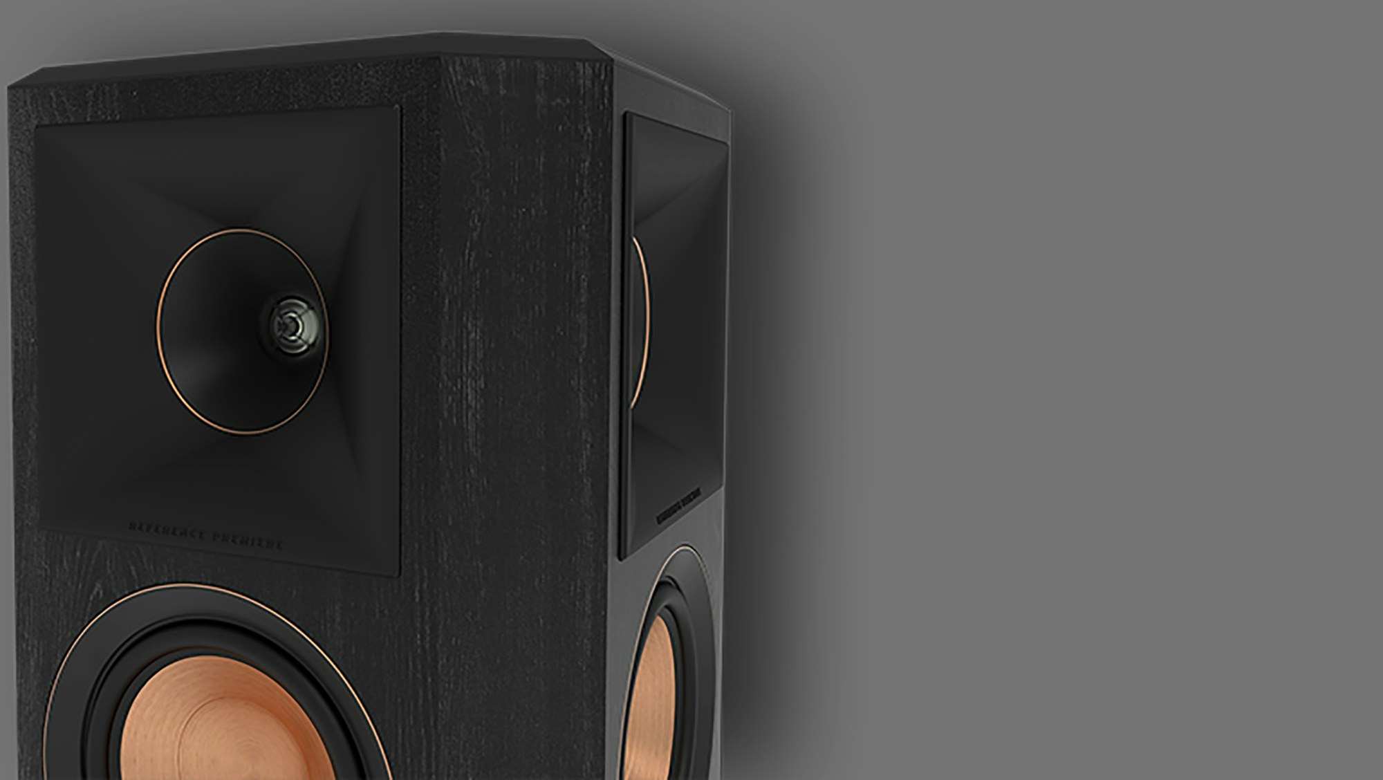 RP 502 SII surround sound speaker close up